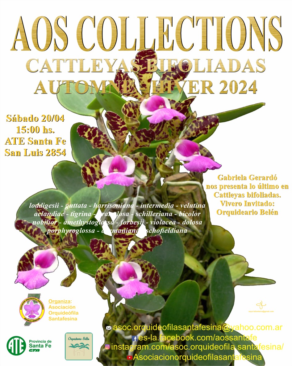 AOS Collections