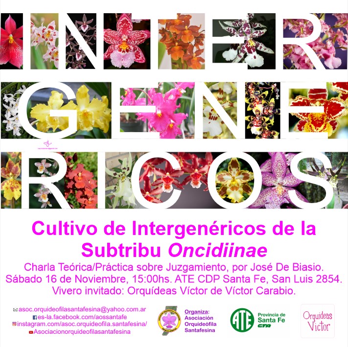 titulo_event