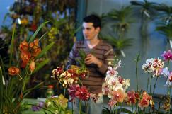 FIESTA PROVINCIAL DE ORQUÍDEAS Y BROMELIAS
