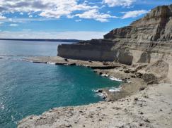 Viaje exclusivo para afiliados/as a Puerto Madryn