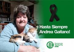 Pesar por el fallecimiento de una compañera del CAPS de Altos Noguera