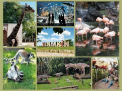¡Nos vamos a Temaikèn en Vacaciones de Julio!