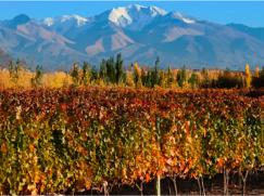 Nuevo viaje a Mendoza en Octubre