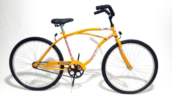 Bicicleta Anziani Playera Rodado 26