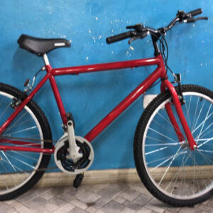 Bicicleta Anziani todo terreno