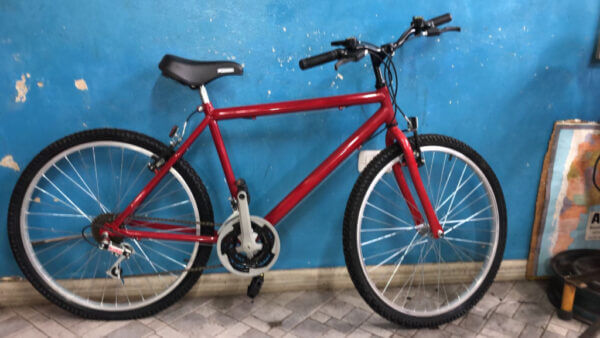 Bicicleta Anziani todo terreno