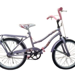 Bicicleta Rodado 20
