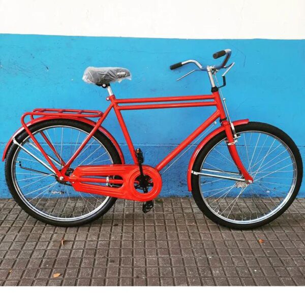 Bicicleta Anziani Balón Rodado 26