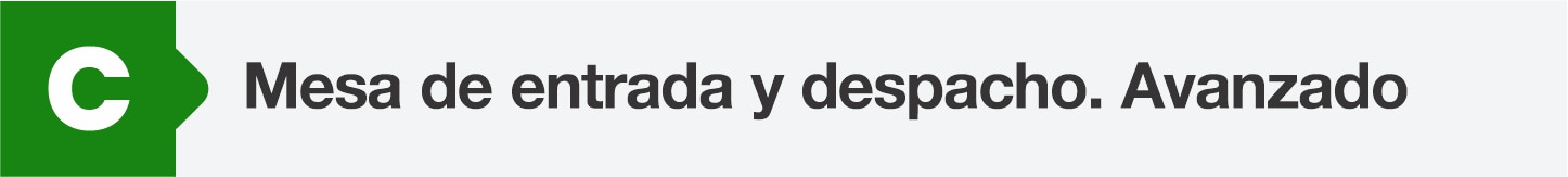 Mesa de entrada y despacho. Avansado